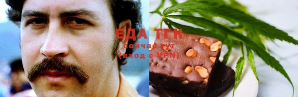 ПСИЛОЦИБИНОВЫЕ ГРИБЫ Горно-Алтайск