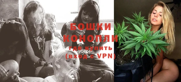 ПСИЛОЦИБИНОВЫЕ ГРИБЫ Горно-Алтайск