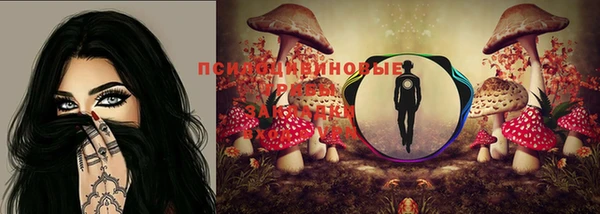 ПСИЛОЦИБИНОВЫЕ ГРИБЫ Горно-Алтайск