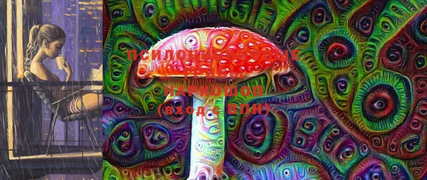 ПСИЛОЦИБИНОВЫЕ ГРИБЫ Горно-Алтайск