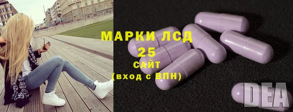 ПСИЛОЦИБИНОВЫЕ ГРИБЫ Горно-Алтайск