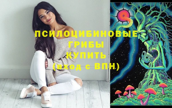 альфа пвп Горнозаводск